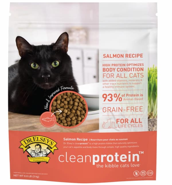 Best high protein kitten food best sale